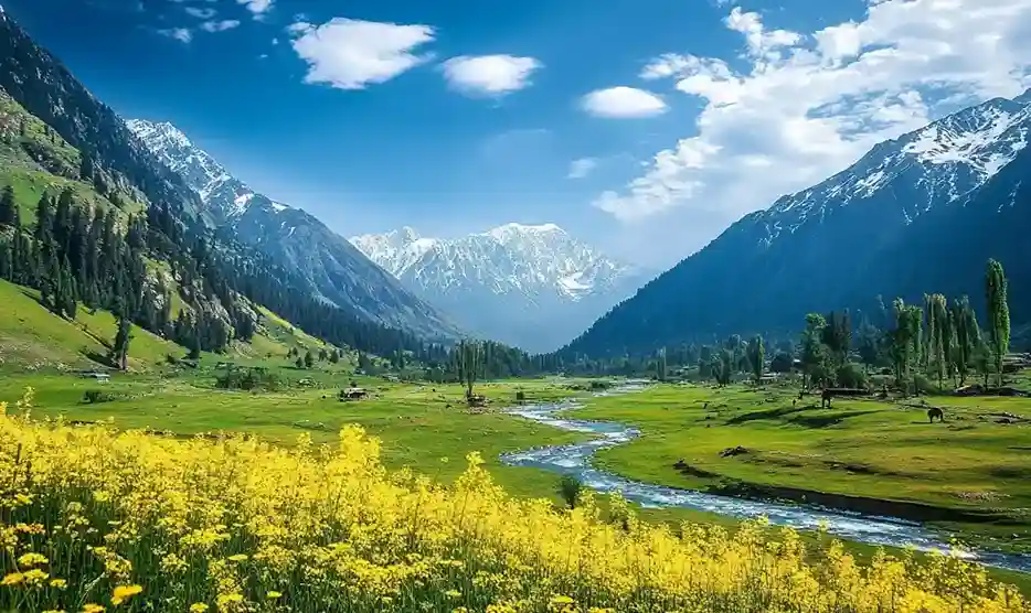 Kashmir